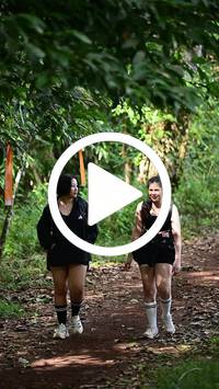 BIB:  <button type="button" onclick="openModal(27283416)" class="btn btn-primary btn-sm float-right" data-toggle="modal" data-target=".modal-high-quality">
                <i class="fa fa-download"></i> Download
                </button>